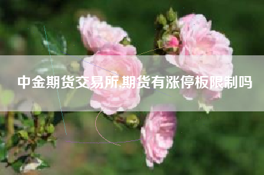 中金期货交易所,期货有涨停板限制吗