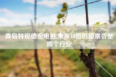 青岛特锐德充电桩,未来10倍的股票会是哪个行业