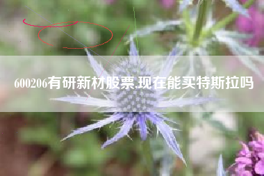 600206有研新材股票,现在能买特斯拉吗