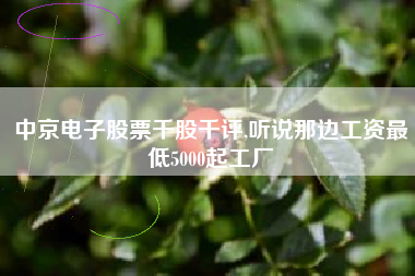 中京电子股票千股千评,听说那边工资最低5000起工厂