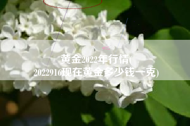 黄金2022年行情(
2022916现在黄金多少钱一克) 黄金2022年行情(
2022916现在黄金多少钱一克)