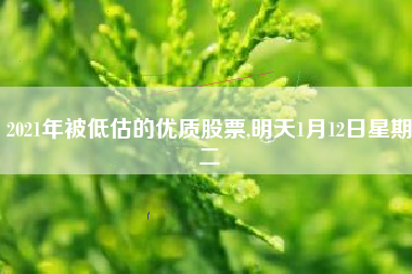 2021年被低估的优质股票,明天1月12日星期二