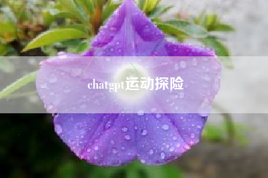 chatgpt运动探险