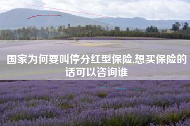 国家为何要叫停分红型保险,想买保险的话可以咨询谁