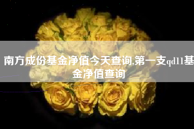 南方成份基金净值今天查询,第一支qd11基金净值查询