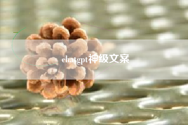 chatgpt神级文案