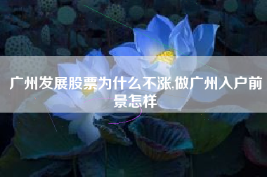 广州发展股票为什么不涨,做广州入户前景怎样