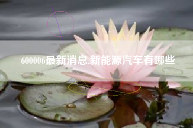 600006最新消息,新能源汽车有哪些