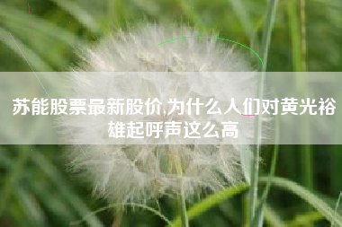 苏能股票最新股价,为什么人们对黄光裕雄起呼声这么高