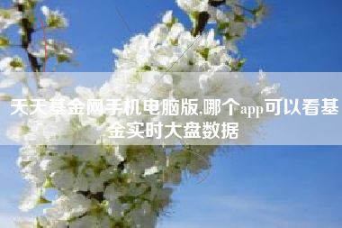 天天基金网手机电脑版,哪个app可以看基金实时大盘数据