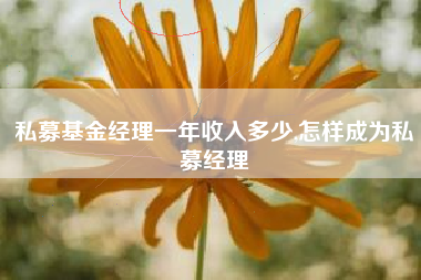 私募基金经理一年收入多少,怎样成为私募经理