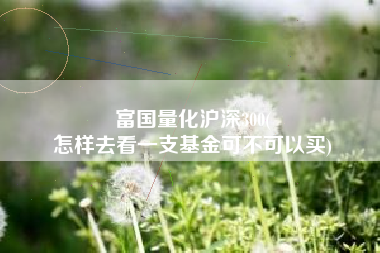 富国量化沪深300(
怎样去看一支基金可不可以买) 富国量化沪深300(
怎样去看一支基金可不可以买)