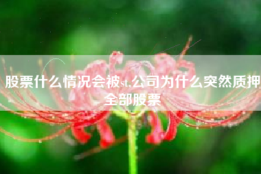股票什么情况会被st,公司为什么突然质押全部股票