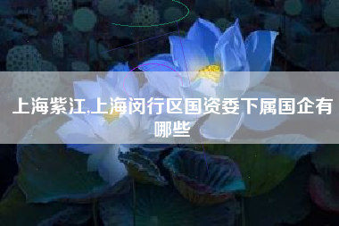 上海紫江,上海闵行区国资委下属国企有哪些