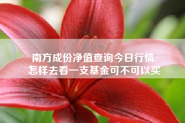 南方成份净值查询今日行情,
怎样去看一支基金可不可以买 南方成份净值查询今日行情,
怎样去看一支基金可不可以买