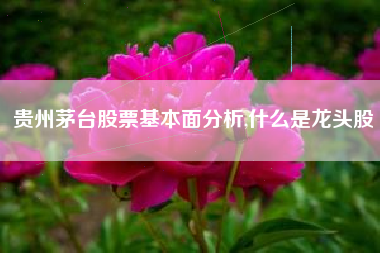 贵州茅台股票基本面分析,什么是龙头股