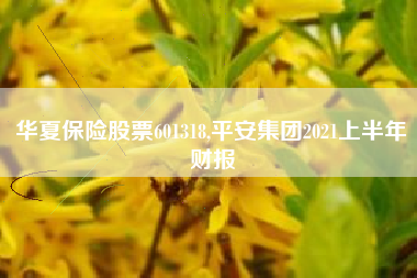 华夏保险股票601318,平安集团2021上半年财报