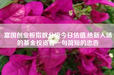 富国创业板指数分级今日估值,给新入场的基金投资者一句简短的忠告