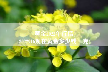 黄金2022年行情(
2022916现在黄金多少钱一克) 黄金2022年行情(
2022916现在黄金多少钱一克)