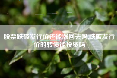 详细阅读:股票跌破发行价还能涨回去吗,跌破发行价的转债能投资吗 股票跌破发行价还能涨回去吗,跌破发行价的转债能投资吗