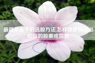 最简单最牛的选股方法,怎样快速筛选出心仪的股票或指数