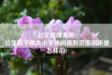 公文管理系统(
公文的字体大小字体间距和页面间距是怎样的) 公文管理系统(
公文的字体大小字体间距和页面间距是怎样的)