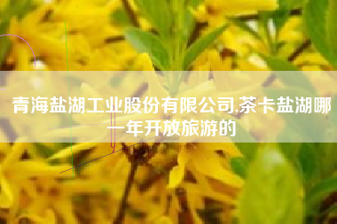 青海盐湖工业股份有限公司,茶卡盐湖哪一年开放旅游的