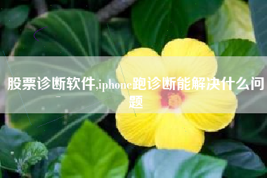 股票诊断软件,iphone跑诊断能解决什么问题