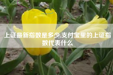 上证最新指数是多少,支付宝里的上证指数代表什么