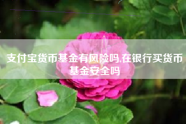 支付宝货币基金有风险吗,在银行买货币基金安全吗