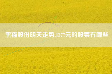 黑猫股份明天走势,1377元的股票有哪些