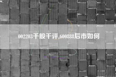 002203千股千评,600888后市如何