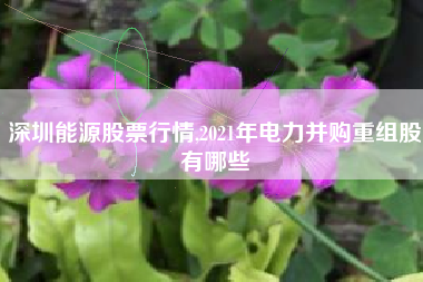 深圳能源股票行情,2021年电力并购重组股有哪些