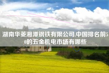 湖南华菱湘潭钢铁有限公司,中国排名前50的五金机电市场有哪些