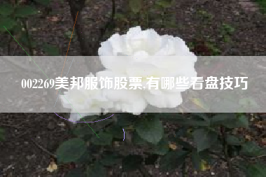 002269美邦服饰股票,有哪些看盘技巧