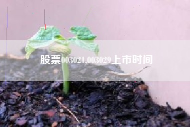 股票003021,003029上市时间
