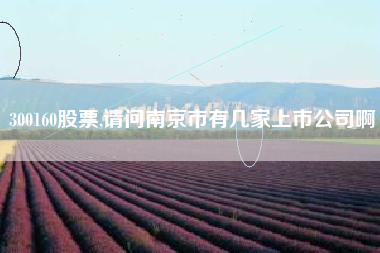 300160股票,请问南京市有几家上市公司啊
