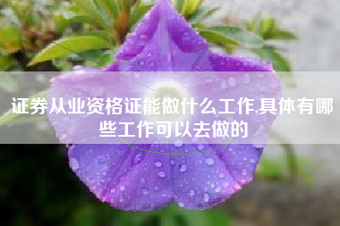 证券从业资格证能做什么工作,具体有哪些工作可以去做的