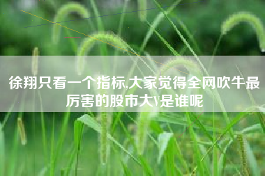 徐翔只看一个指标,大家觉得全网吹牛最厉害的股市大V是谁呢