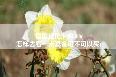 富国量化沪深300(
怎样去看一支基金可不可以买) 富国量化沪深300(
怎样去看一支基金可不可以买)