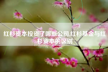 红杉资本投资了哪些公司,红杉基金与红杉资本的区别