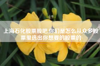 上海石化股票股吧,你们是怎么从众多股票里选出你想要的股票的