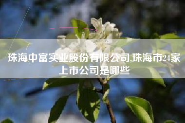 珠海中富实业股份有限公司,珠海市24家上市公司是哪些