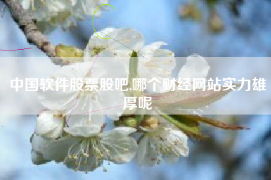 中国软件股票股吧,哪个财经网站实力雄厚呢