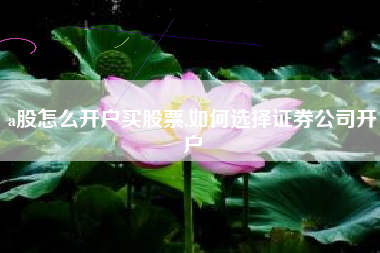 a股怎么开户买股票,如何选择证券公司开户