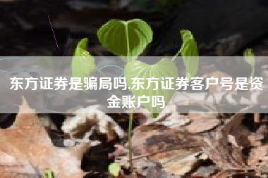 东方证券是骗局吗,东方证券客户号是资金账户吗