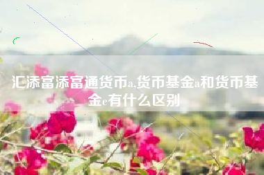 汇添富添富通货币a,货币基金a和货币基金e有什么区别
