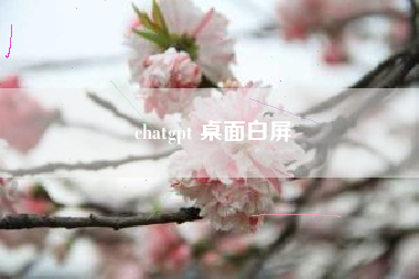 chatgpt 桌面白屏