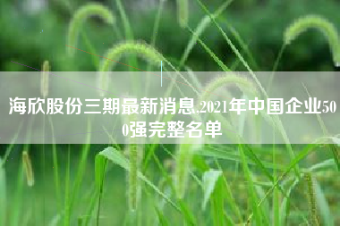 海欣股份三期最新消息,2021年中国企业500强完整名单