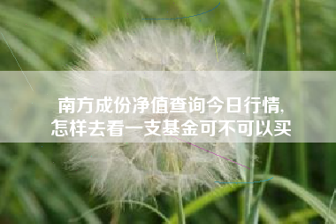 南方成份净值查询今日行情,
怎样去看一支基金可不可以买 南方成份净值查询今日行情,
怎样去看一支基金可不可以买